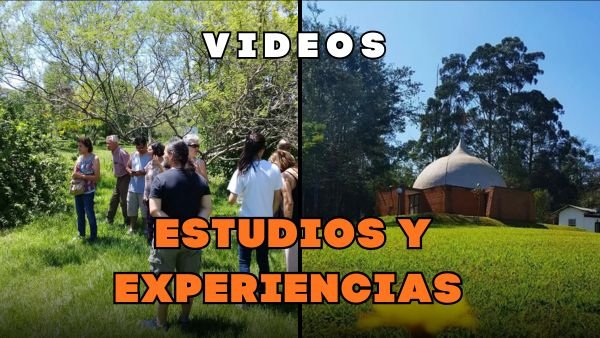 Estudios, tutoriales y experiencias.